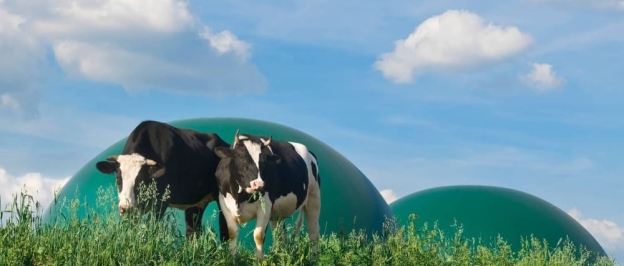 Impianto di biogas per la produzione di energia